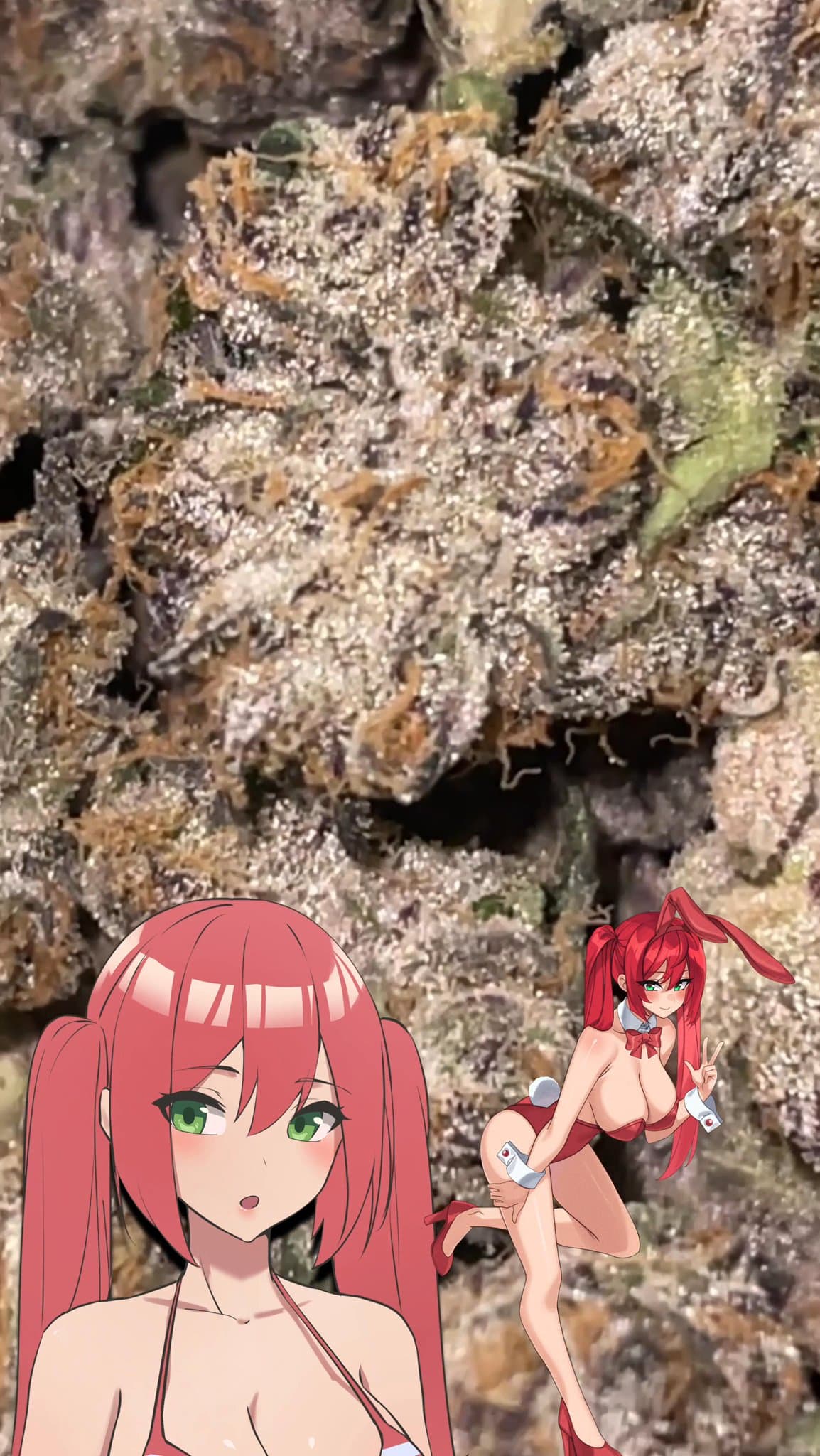 CHERRY POPPERZ